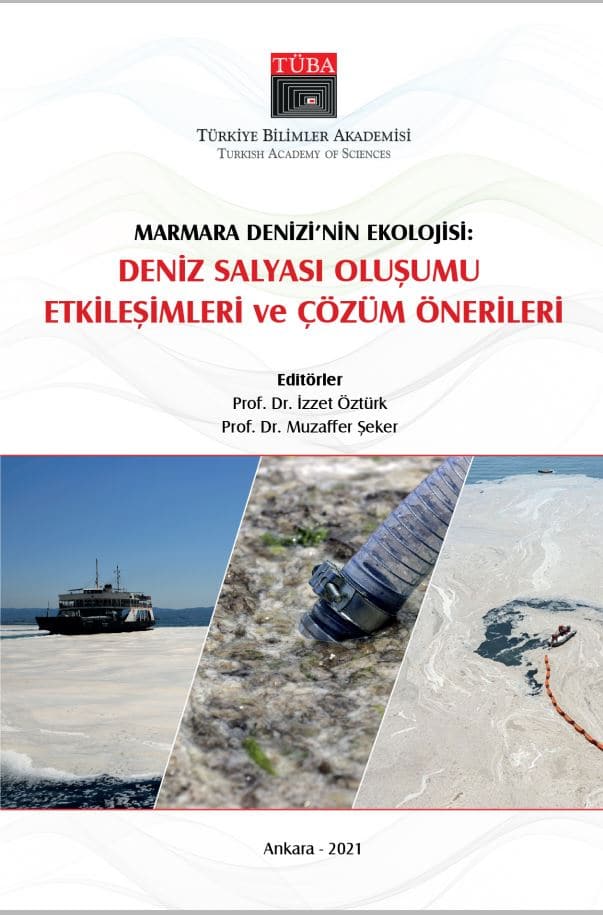 GTÜ’nün müsilaj haritaları bilimsel yayınlarda yer aldı GTÜ’nün müsilaj haritaları bilimsel yayınlarda yer aldı