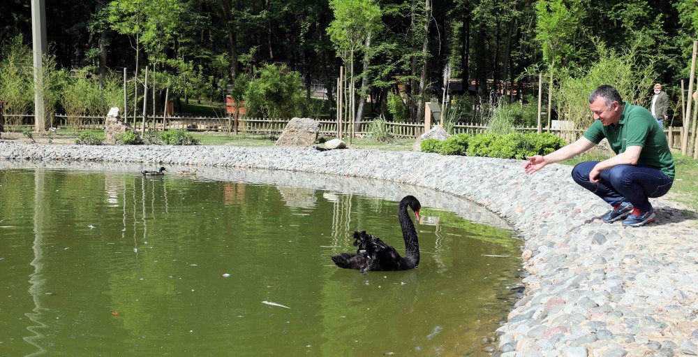  Yavru Karaca’yı elleriyle besledi