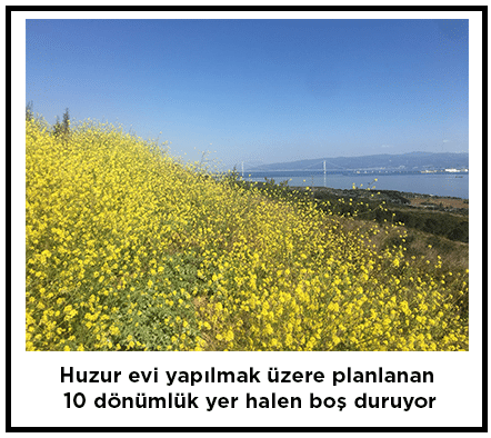 Korona Virüsü Vebası ve Yaşlılarımız İçin 3 Yıl Önce Yazdığım Yazı
