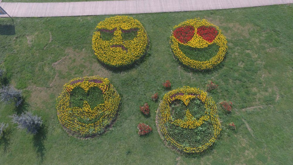 Kocaeli’nin en güzel laleleri bu festivalde