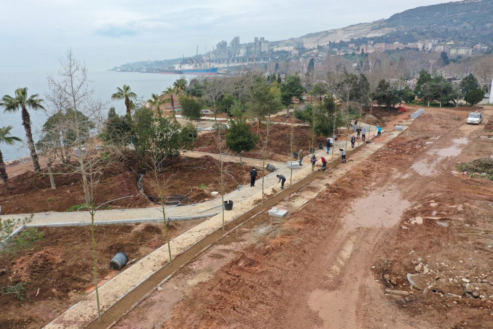 Hereke Sahili’ne palmiyeler dikildi Hereke Sahili’ne palmiyeler dikildi