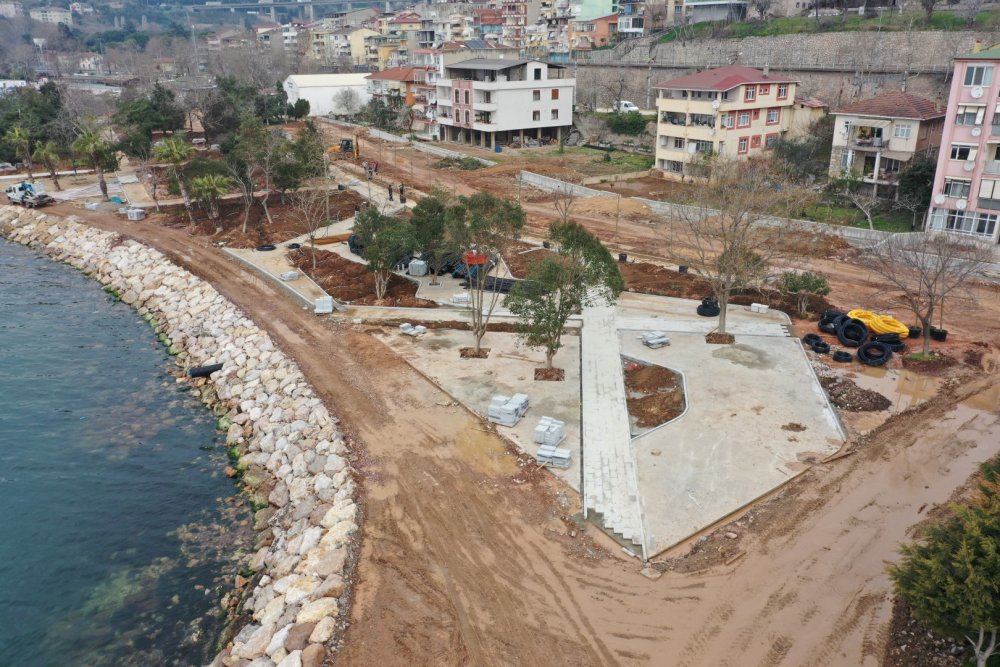 Hereke Sahili’ne palmiyeler dikildi Hereke Sahili’ne palmiyeler dikildi