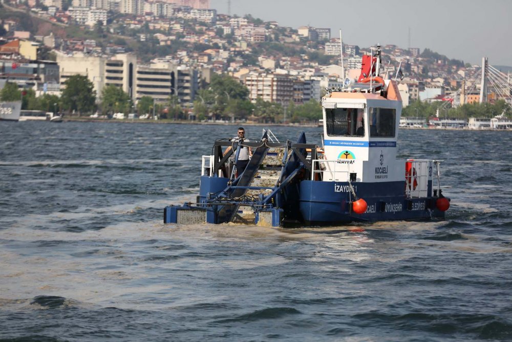 50 günde 150 ton deniz salyası toplandı 50 günde 150 ton deniz salyası toplandı