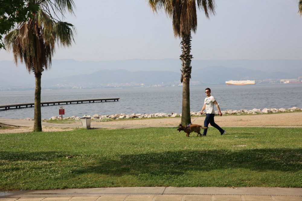 Mutlu şehrin sakinleri parklarda eğleniyor Mutlu şehrin sakinleri parklarda eğleniyor
