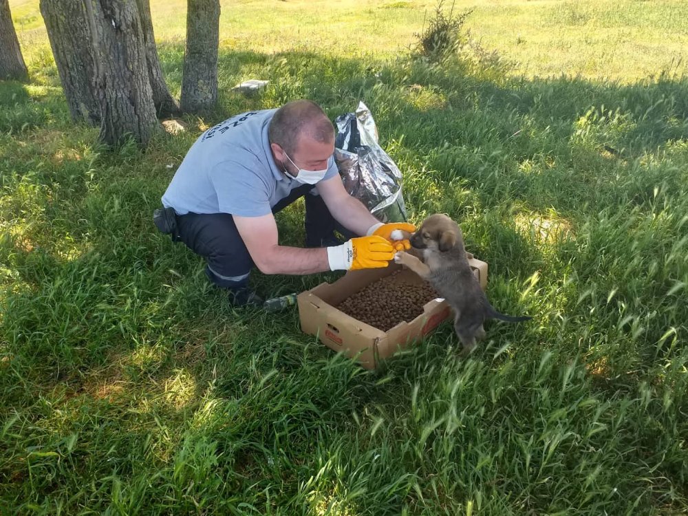 Gebze’de ekipler tam kadro sahadaydı Gebze’de ekipler tam kadro sahadaydı