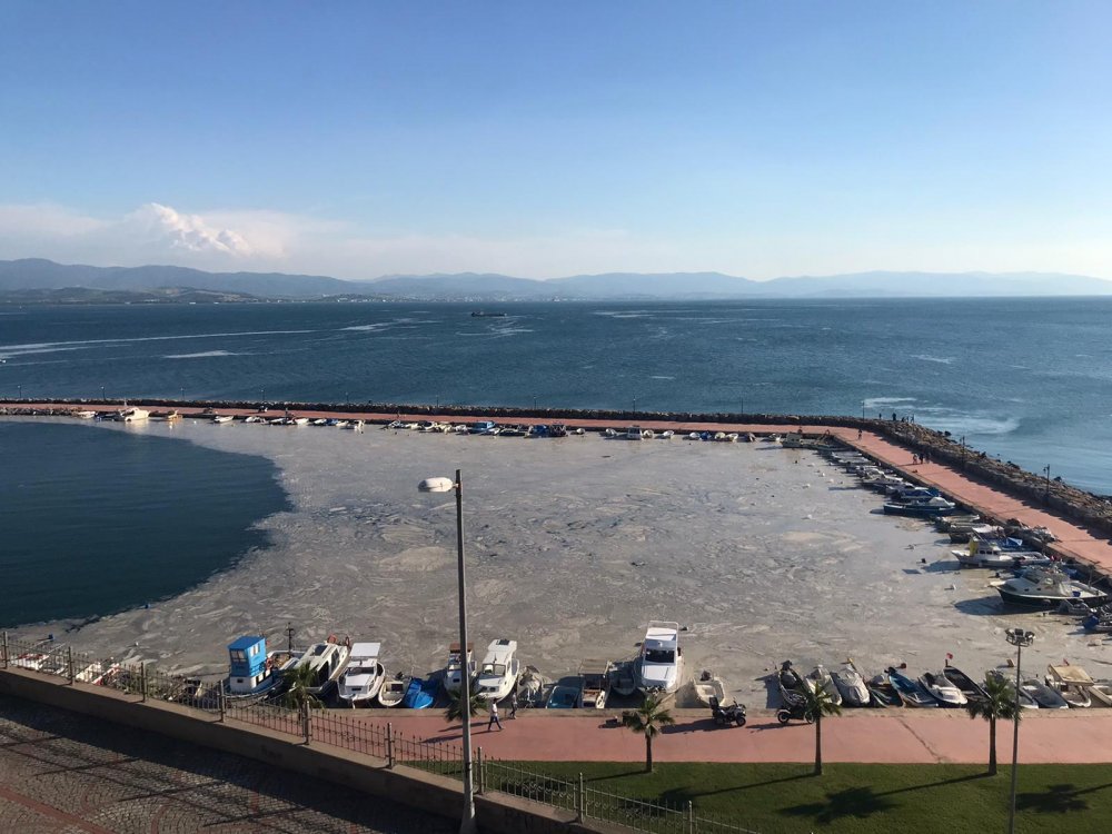 Deniz Kirliliğinin Belgeselini Çekiyoruz