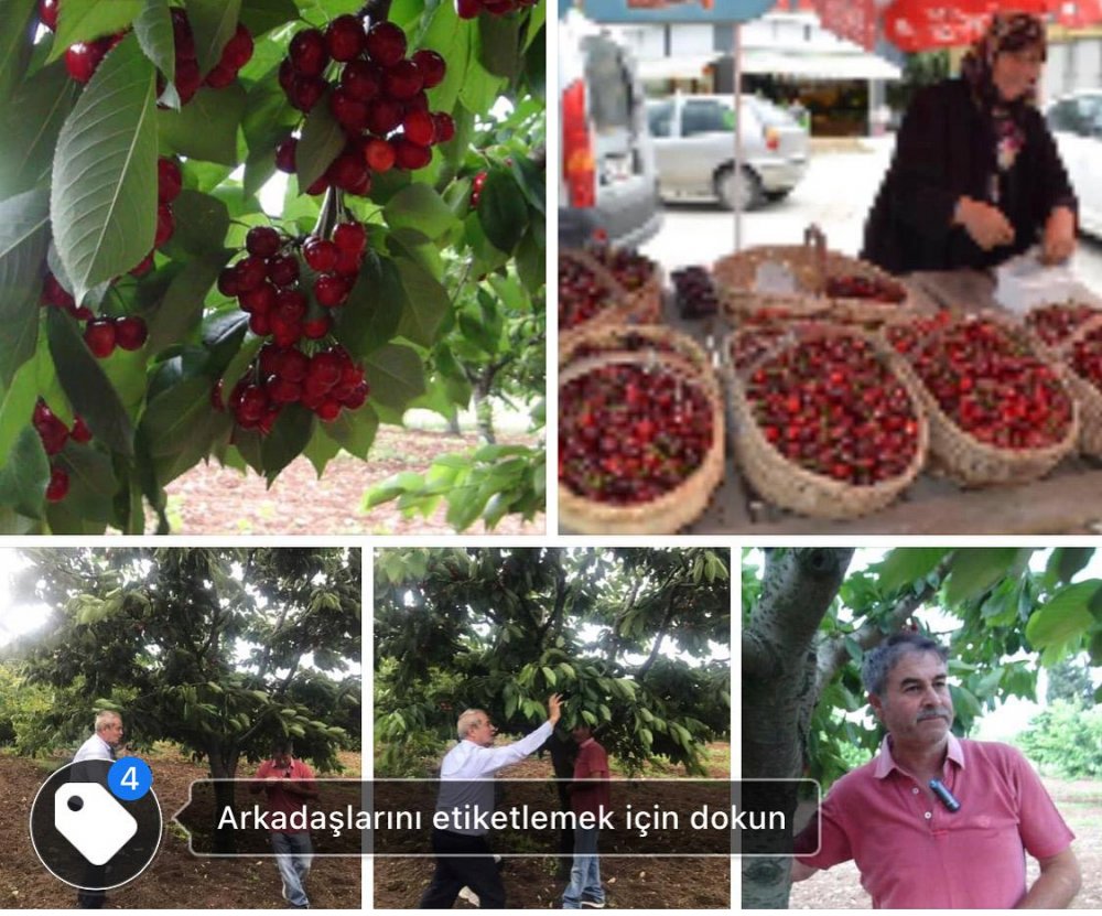 Gebze’den Ankara’ya Bir Günde Devri Alem