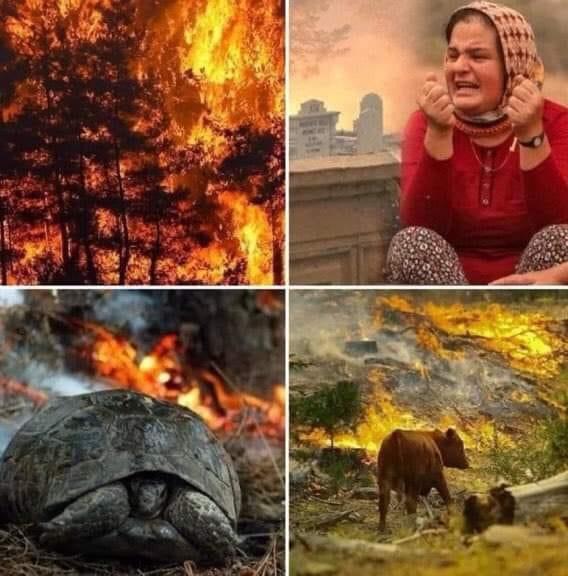 Kocaeli Siyasi Tarihimizin Canlı Şahidi