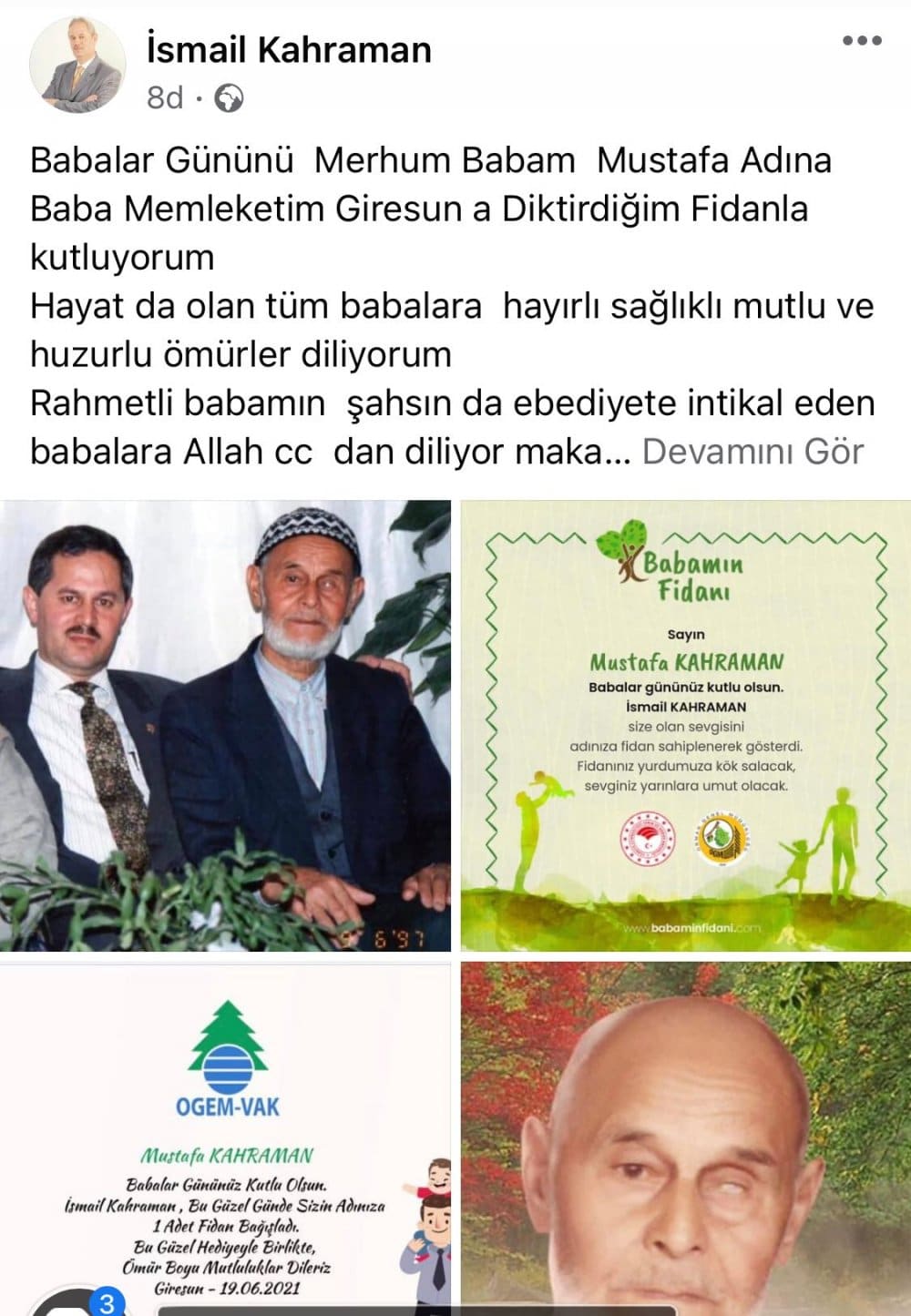 Uçaktan Ormanlarımızı Seyrederken