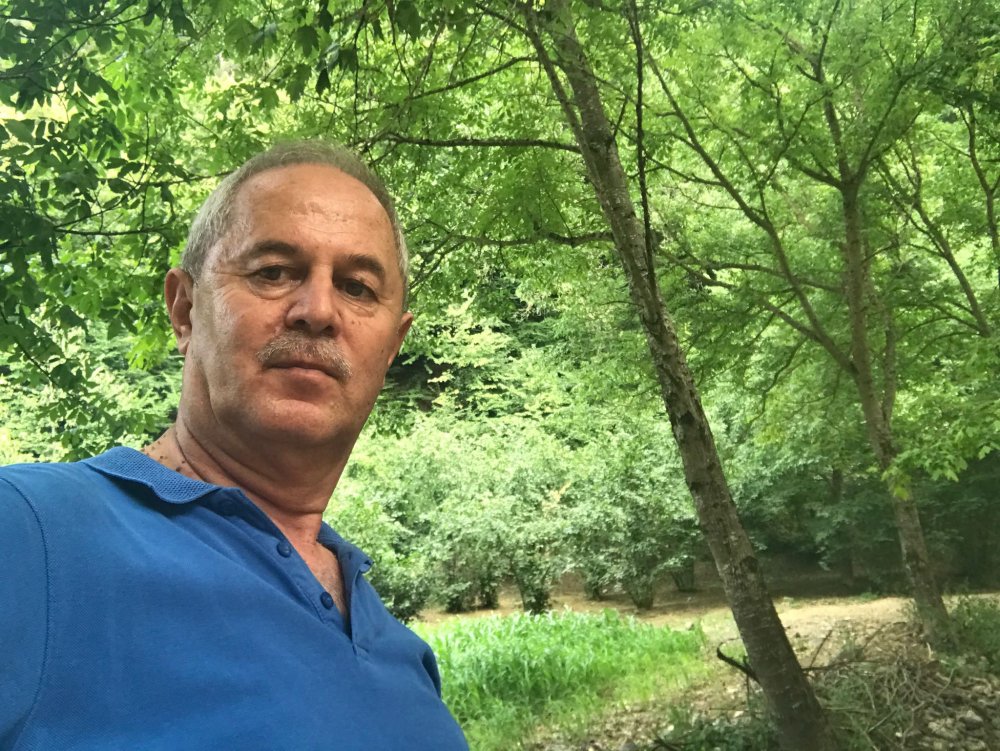 VAKIF ORMANLARI
