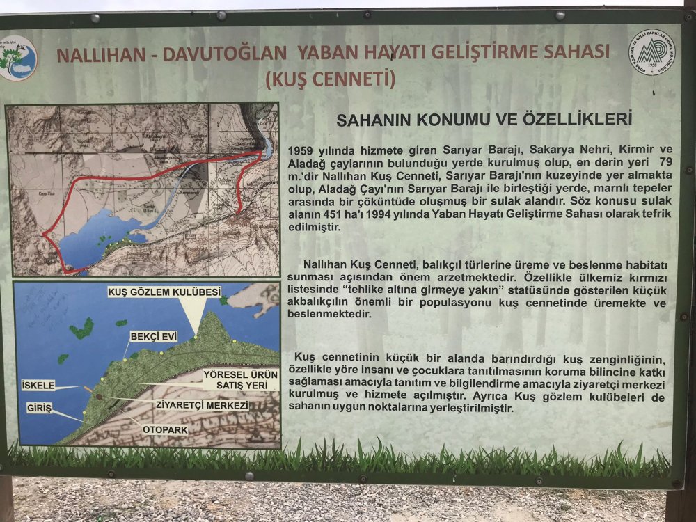 VAKIF ORMANLARI