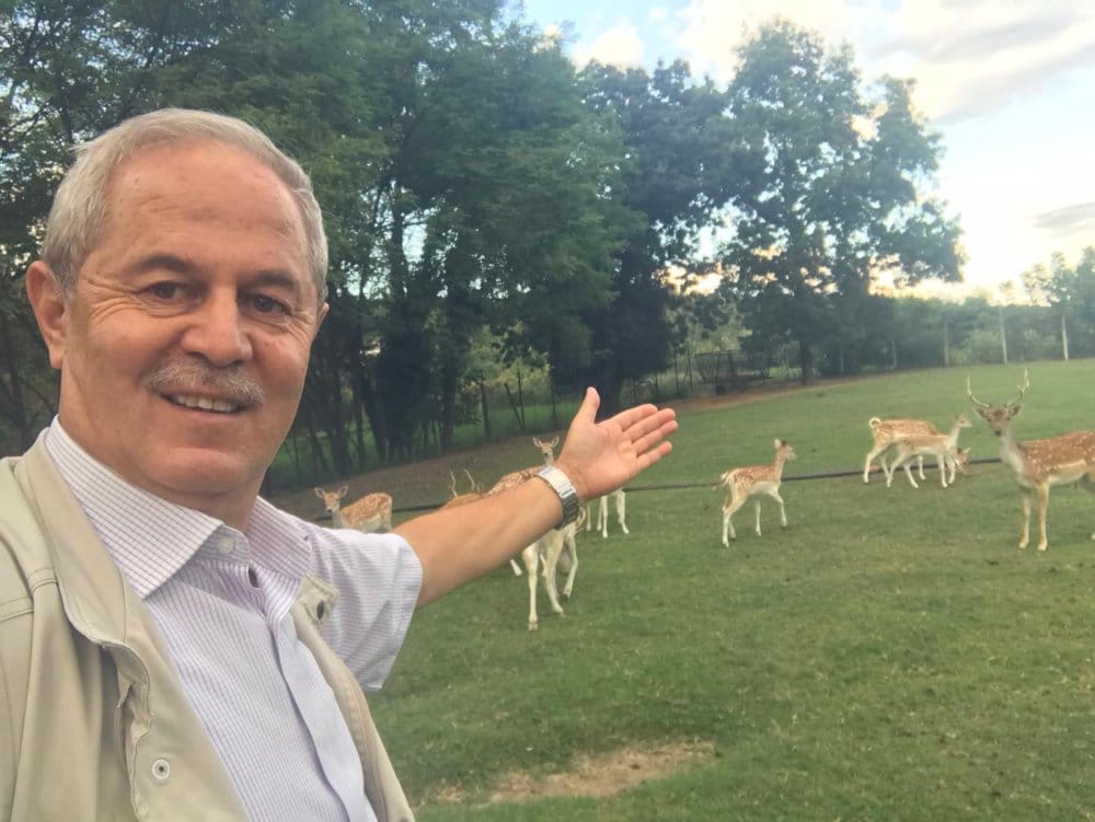 Sakarya Nehri’ni Kurtarma Seferberliği Başlatılmalı!