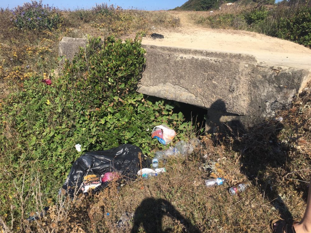 Kocaeli Cebeci Uzunkum Tabiat Parkı Yok Olmasın