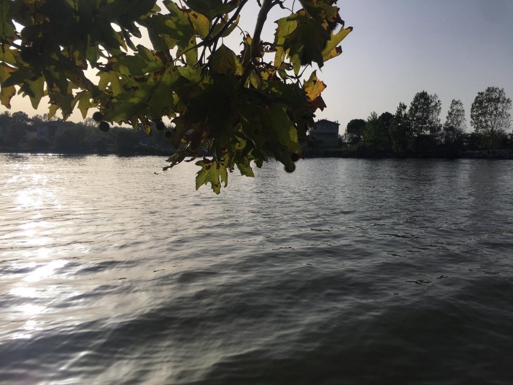 Çevre Bakanı Sakarya Nehri’ndeki Çevre Katliamını Önlemeli 