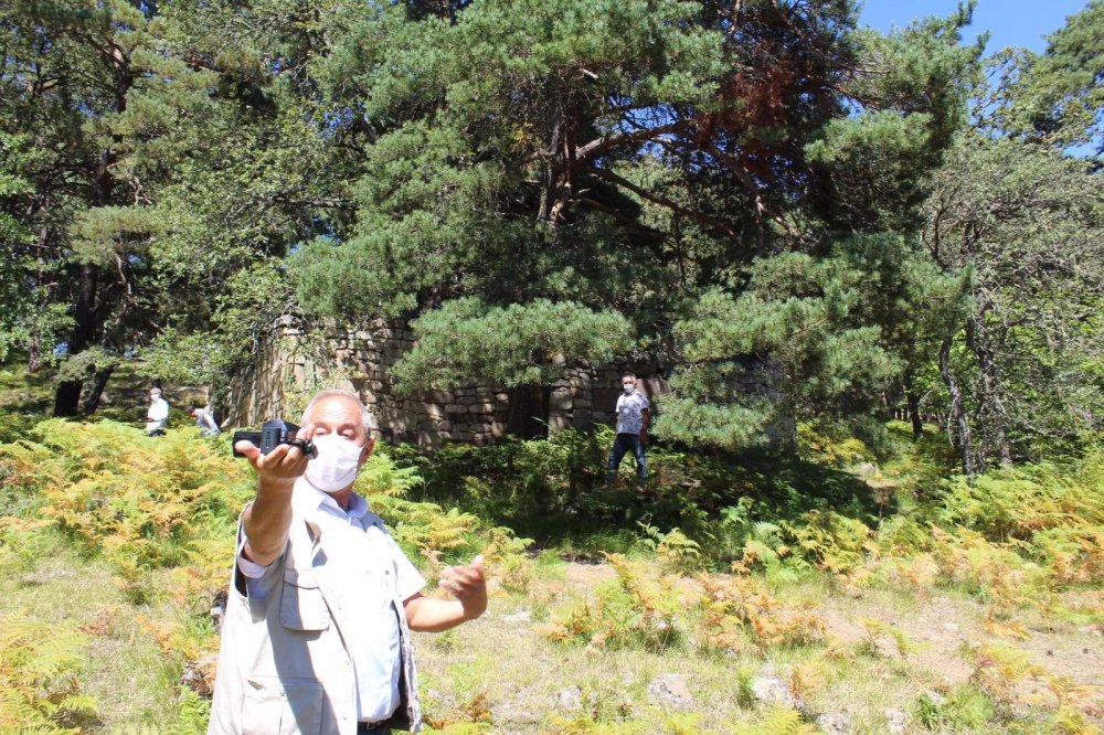 Kocaeli'den Giresun'a Vakıf Ormanları  