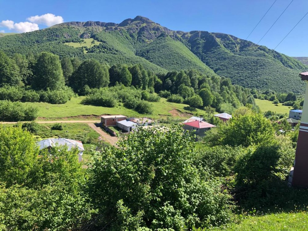 Kocaeli'den Giresun'a Vakıf Ormanları  