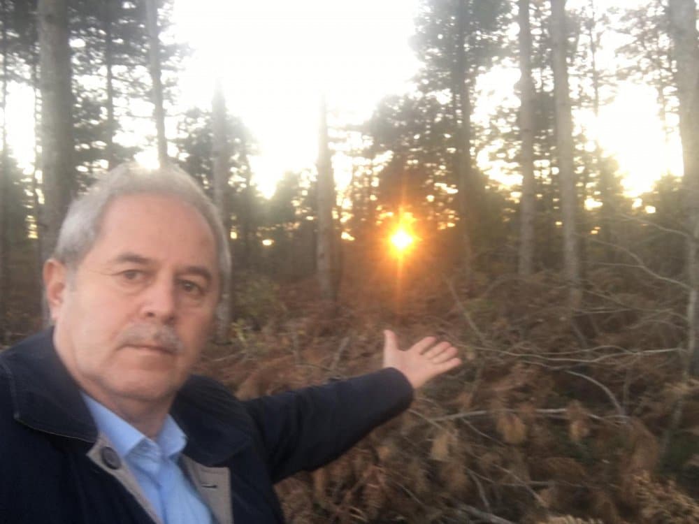 Tarım ve Orman Bakanı Bekir Pakdemirli'ye Millet Ormanı Mektubu