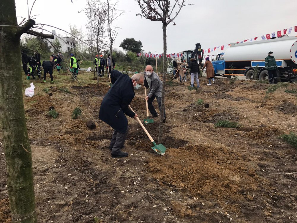Korona Vebası ve Fidan Dikme Kampanyası