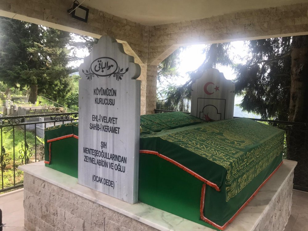 Vatan ve Orman Vatan ve Orman