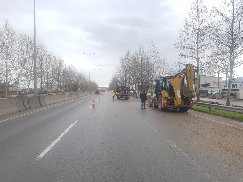 Ağaçlarda bakım ve budama yapıldı Ağaçlarda bakım ve budama yapıldı