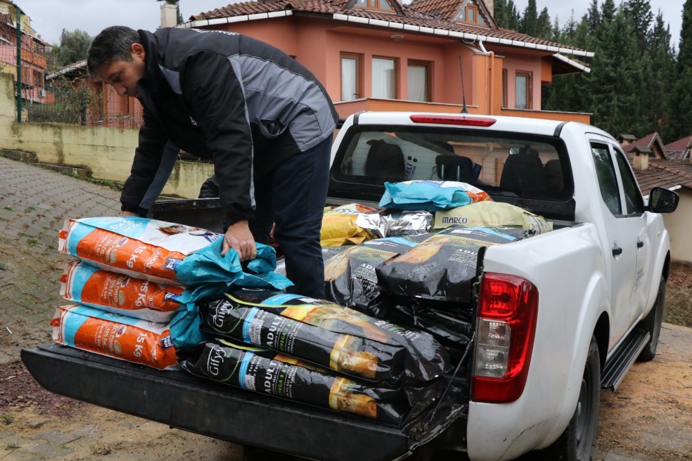 “81 ton mamayı şehrin belli noktalarına dağıttık” “81 ton mamayı şehrin belli noktalarına dağıttık”