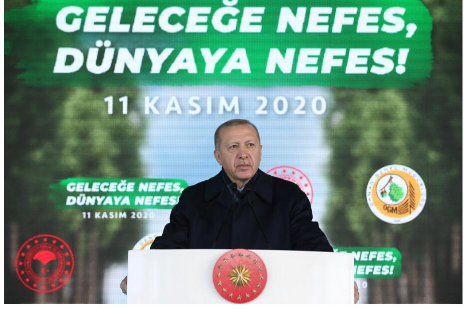 Benim Sadık Yarım Ağaçlar ve Fidanlar Oldu