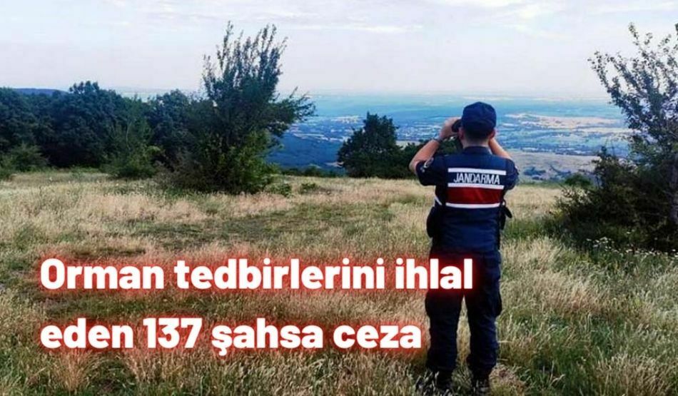 Orman Tedbirlerini İhlal Eden 137 Şahsa Ceza