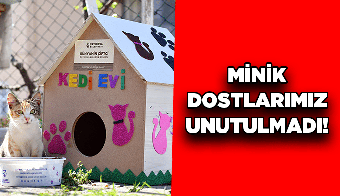 Minik dostlarımız unutulmadı!