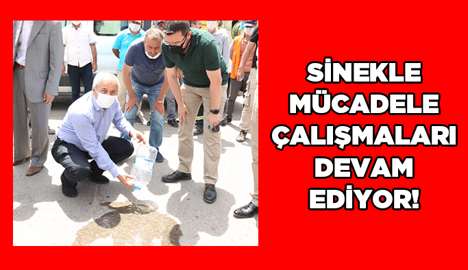 Sinekle mücadele çalışmaları devam ediyor!