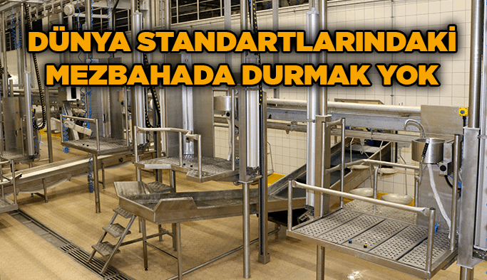 Dünya standartlarındaki Mezbahada durmak yok