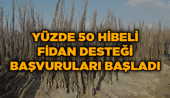 Yüzde 50 hibeli fidan desteği başvuruları başladı