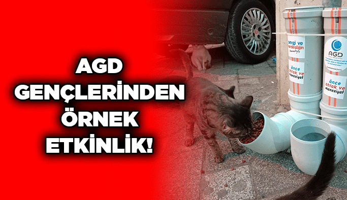 AGD gençlerinden örnek etkinlik!