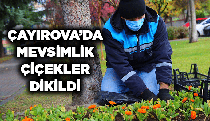 Çayırova’da mevsimlik çiçekler dikildi