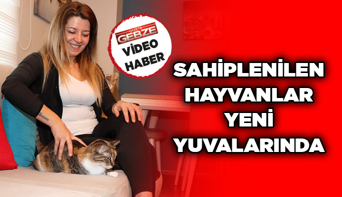 Sahiplenilen hayvanlar yeni yuvalarında
