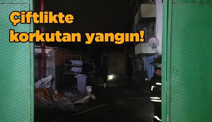 200 hayvanın bulunduğu  çiftlikte korkutan yangın!