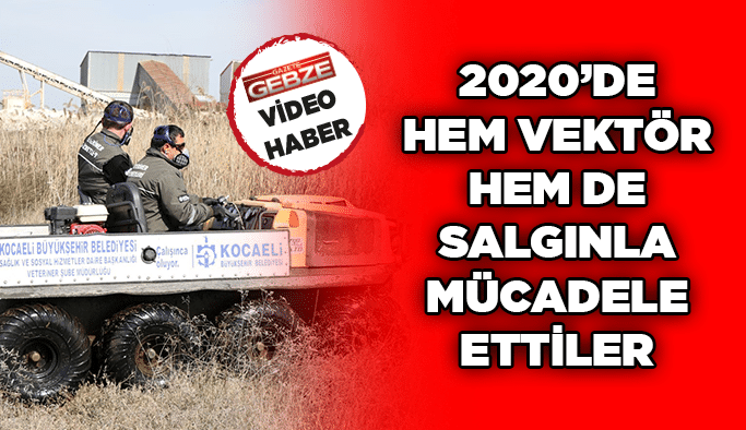 2020’de hem vektör hem de salgınla mücadele ettiler
