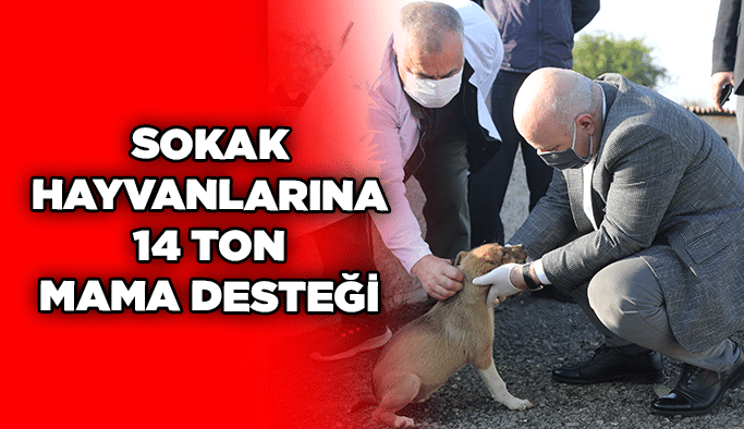 Sokak hayvanlarına 14 ton mama desteği