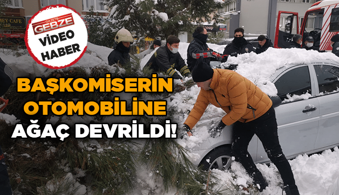 Başkomiserin otomobiline ağaç devrildi!