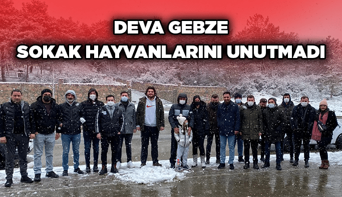 DEVA Gebze sokak hayvanlarını unutmadı