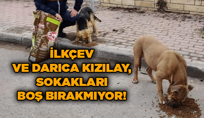 İLKÇEV ve Darıca Kızılay, sokakları boş bırakmıyor!
