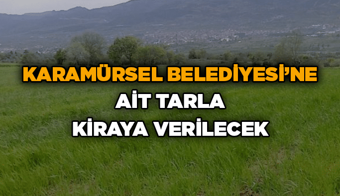 Karamürsel Belediyesi’ne ait tarla kiraya verilecek