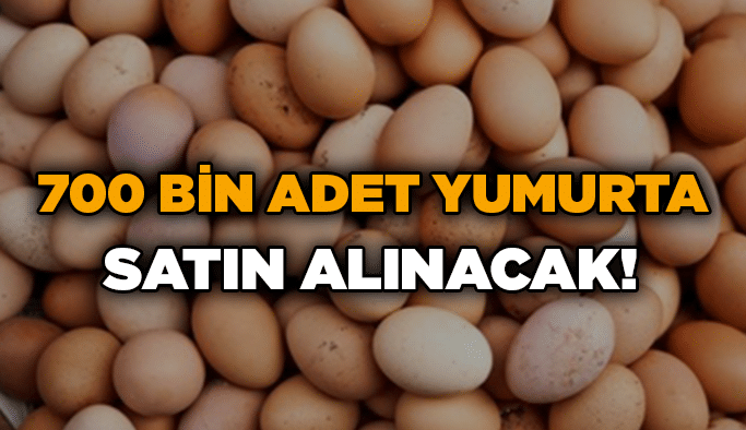 700 bin adet yumurta satın alınacak!