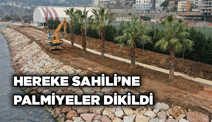 Hereke Sahili’ne palmiyeler dikildi