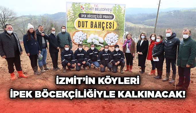 İzmit’in Köyleri İpek Böcekçiliğiyle Kalkınacak!