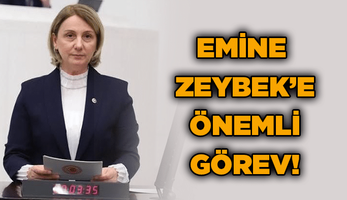 Emine Zeybek’e önemli görev!