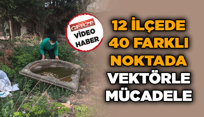 12 İlçede 40 farklı noktada vektörle mücadele