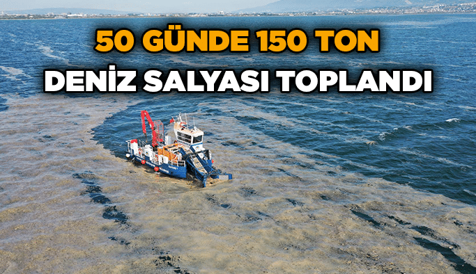 50 günde 150 ton deniz salyası toplandı