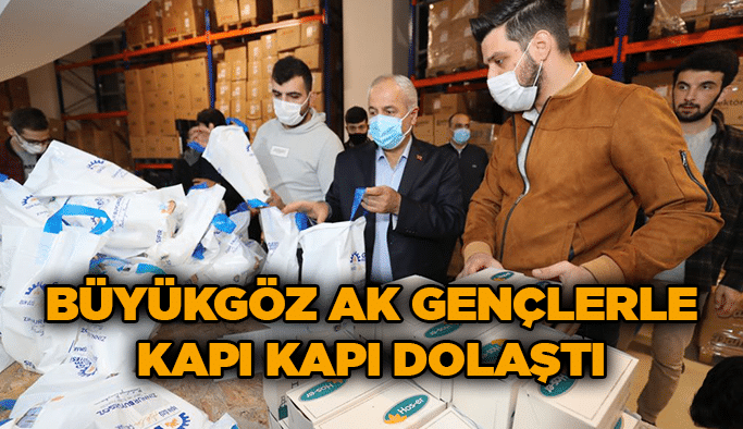 Büyükgöz AK Gençlerle Kapı Kapı Dolaştı