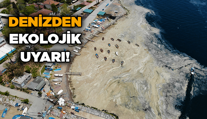 Denizden ekolojik uyarı!