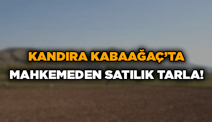 Kandıra Kabaağaç’ta mahkemeden satılık tarla!